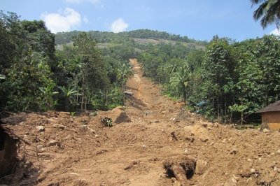 A debris flow covers a hillside, full of rocks and trees.