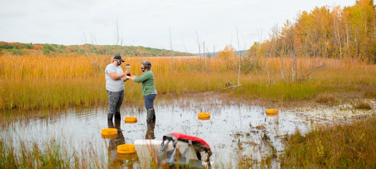 Two people in high boots stand in a wetland gathering a water sample. 