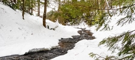 No matter how you say it, water is essential to us all. Join Michigan Techâ€”and people around the globeâ€”to celebrate World Water Day March 18-24, 2021.