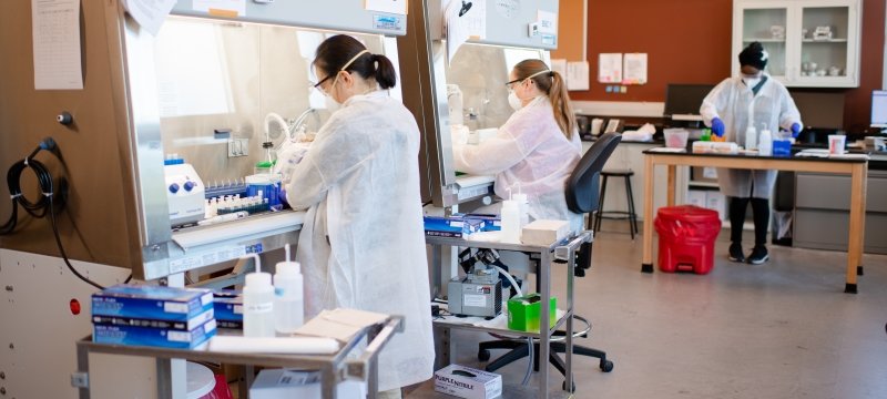 Three people wearing lab coats, face masks, and protective eyewear work in the COVID-19 testing laboratory.