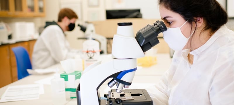 Two people look through microscopes in a lab.