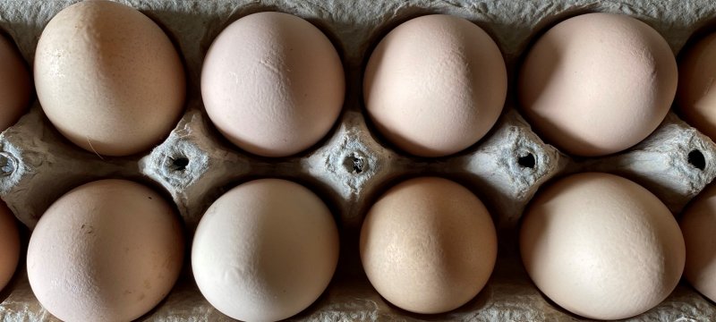 Artsy close-up of homegrown eggs in a carton.