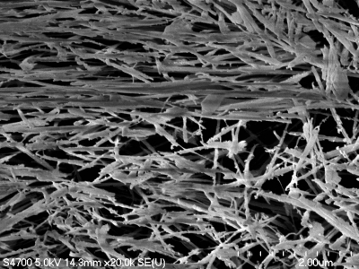 A microscope image of plasma-etched polymer that shows the strands of the polymer.