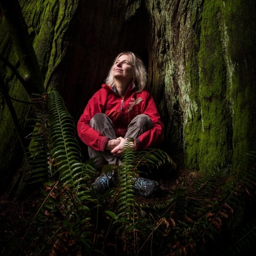 A woman sits under a large mossy tree in a bed of deep green ferns, she is looking up.