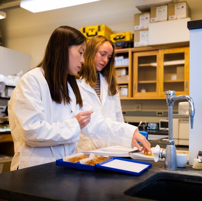 Two women researching in the lab at Michigan Tech to develop improved deep brain stimulation systems to aid people with Parkinson's disease.