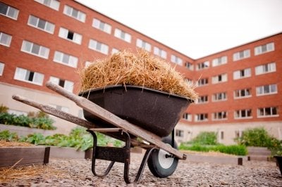 Wheelbarrow in Wadsworth Hall garden