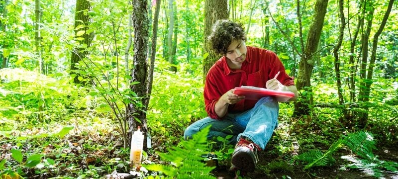 Undergraduate researcher Abe Stone records application of a native fungi on invasive buckthorn trees in a forest near Michigan Technological University. Stone is looking for effective ways to slow the spread of invasive buckthorn trees, which are rapidly altering the Midwest landscape.