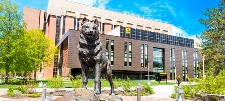 Michigan Tech secures its place among the top value colleges of 2024, recognized for its career preparation, internships, and financial aid support.