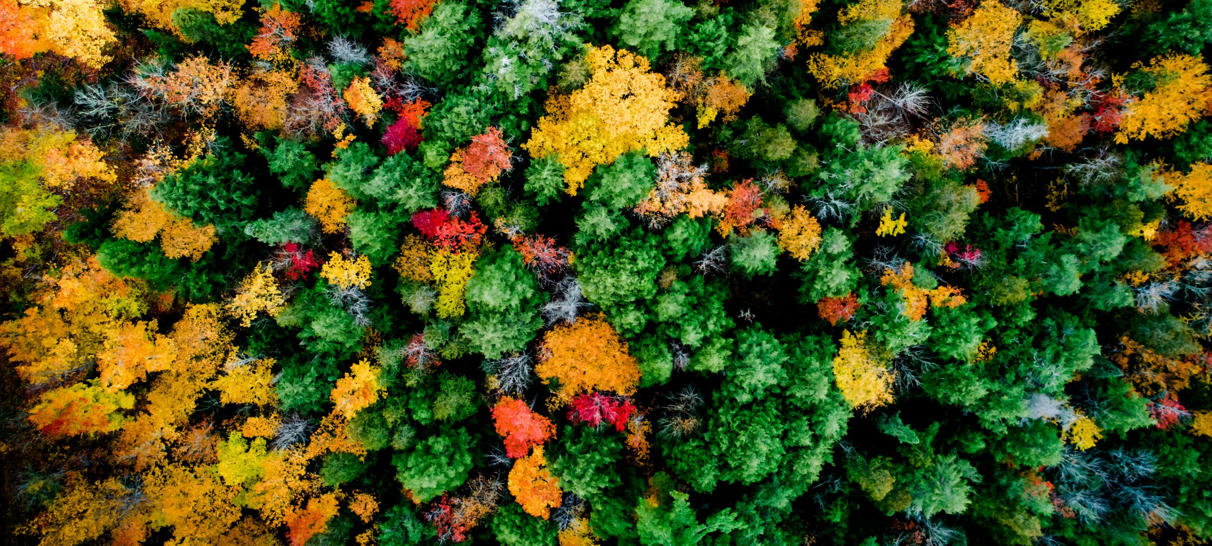 Tomorrow’s Needs: Energy and the Environment Tomorrow’s Needs: Energy and the Environment