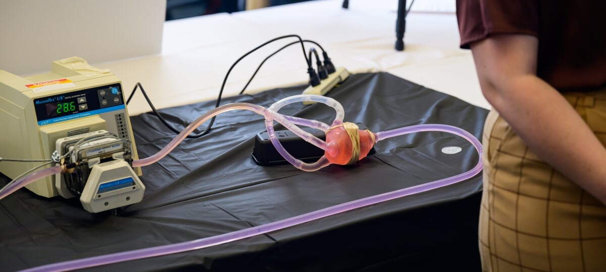 An artificial plastic heart is used to test an adhered device.