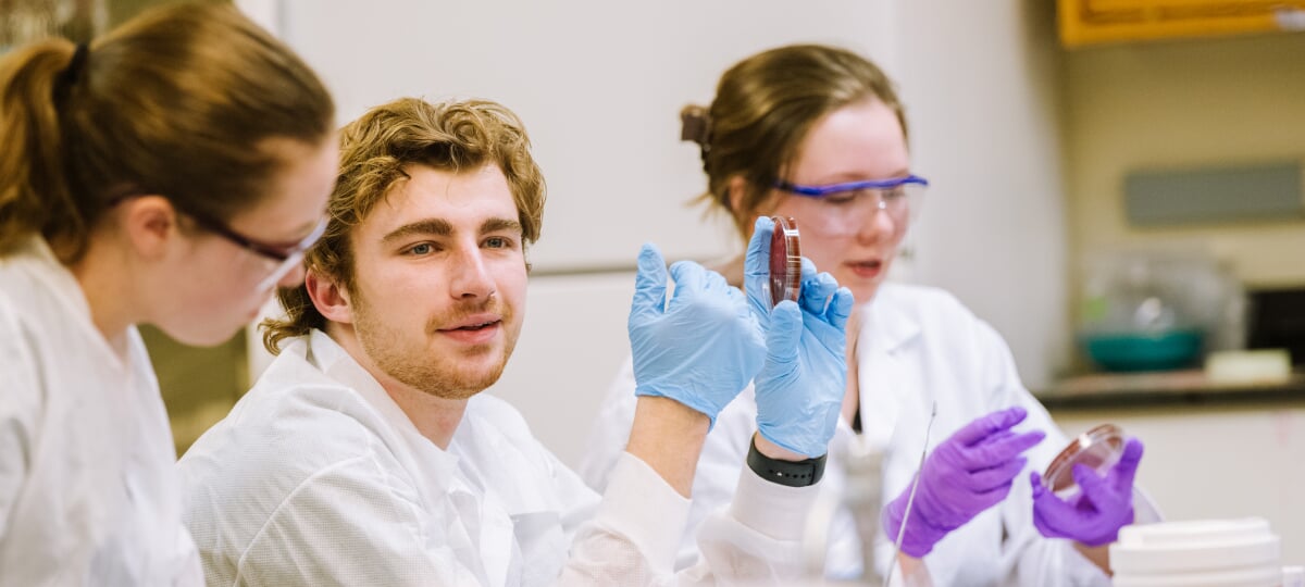 Ben Amat gets a lot of hands-on experience in the lab as a medical laboratory science student. He’s eagerly preparing for his career as a veterinarian, applying what he learns in the lab to his hobby as a musher. Ben Amat holds up a petri dish while sitting in the lab with two other students.
