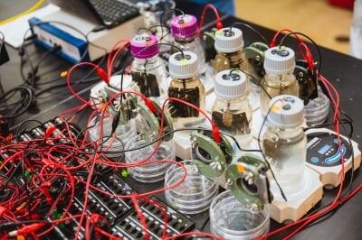 Seven small glass bottles filled with water, microbes and granulated activated carbon with monitoring electrodes attached to them sit on small scales on a lab table.
