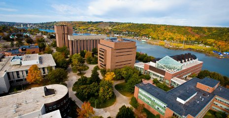 Capital campaign seeks to increase Michigan Tech faculty endowment, student aid.