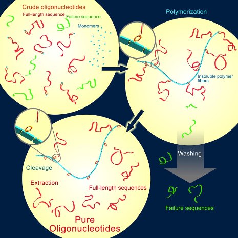 Synthetic DNA purification process developed by Shiyue Fang, Michigan Tech Chemistry Department image