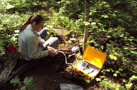 Forest science PhD student Carley Kratz at work in the field