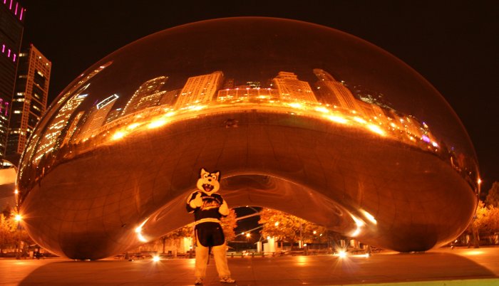Blizzard admires the Chicago skyline reflected in a sculpture in Millennium Park in downtown Chicago. 
