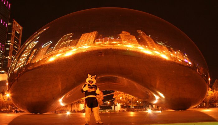 Blizzard in Millenium Park Blizzard admires the Chicago skyline reflected in a sculpture in Millennium Park in downtown Chicago.