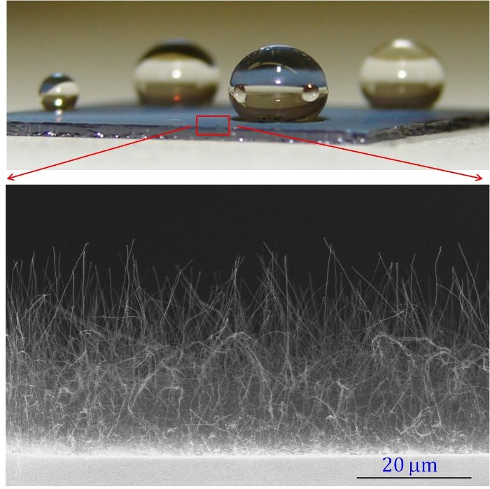 Water on BNNTs Water droplets sit atop boron nitride nanotubes without wetting the sample.