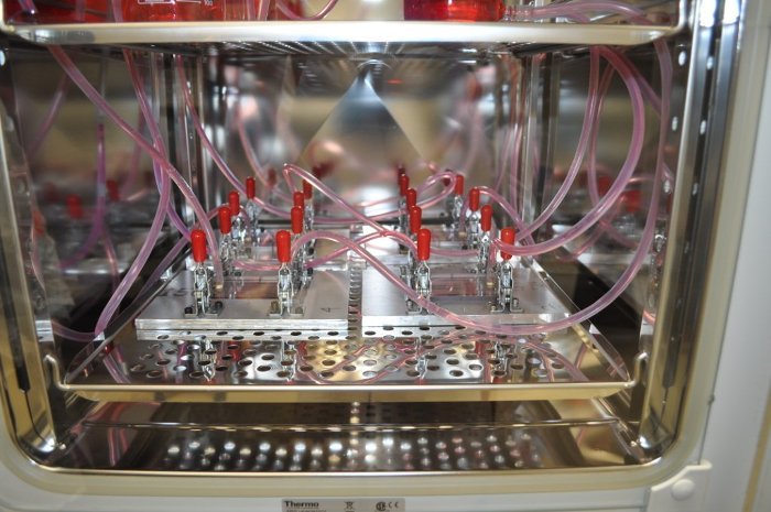 The parallel plate flow chambers used to create fluid flow over the coated wires inside the incubator.