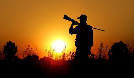 North American Model of Wildlife Conservation
