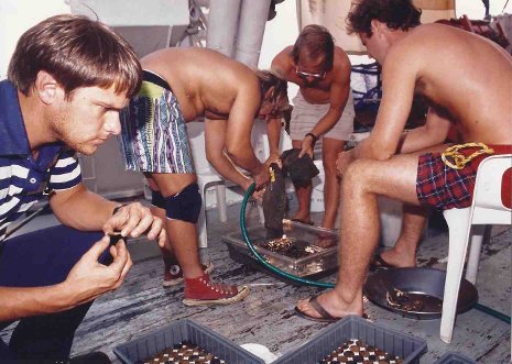 Alumnus works on treasure expedition. Mike MIlosh '81, left, looks over coins from the SS Central America.