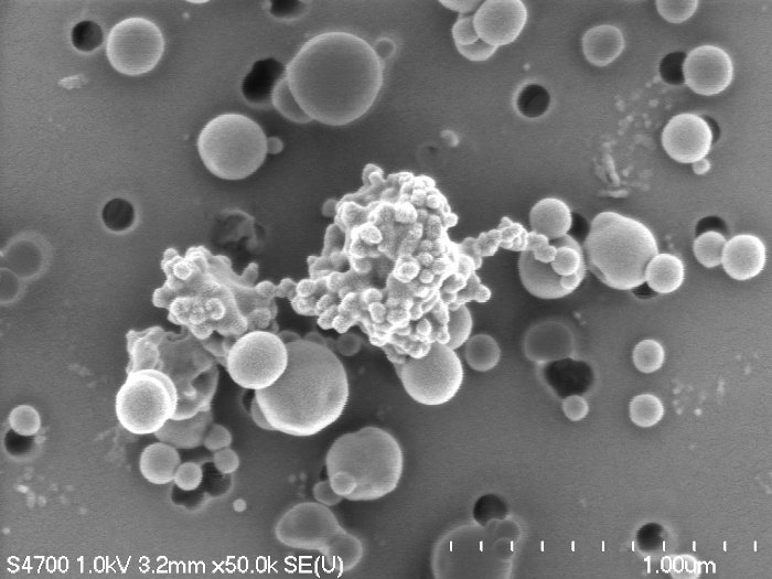 Field emission scanning electron microscopy image of tar balls with an aggregation of soot particles from the Las Conchas fire. Swarup China image