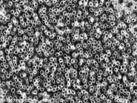 A forest of titanium dioxide nanotubes etched into metallic titanium. The surface holds promise for improving the longevity of dental implants.
