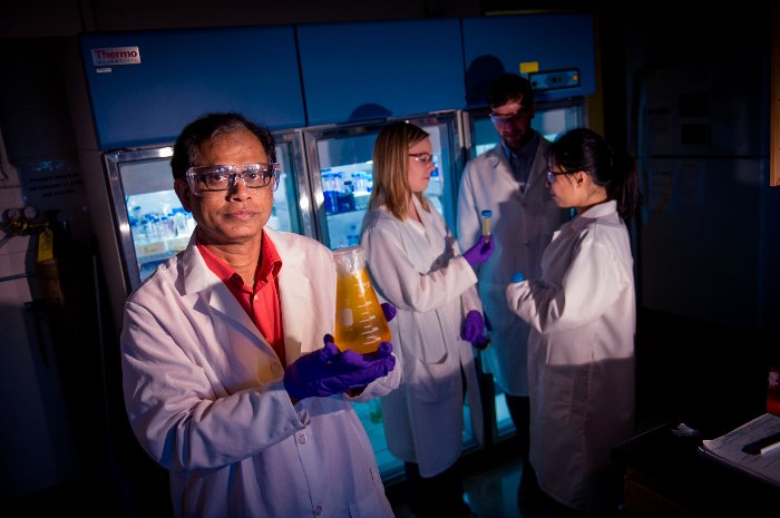 Michigan Tech biochemist Tarun Dam with a solution containing lectin, used to study how an important class of biomolecules react in the body. Sarah Bird photo