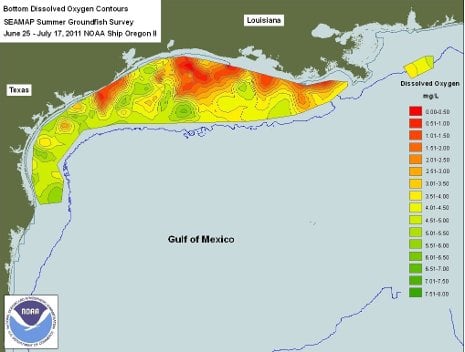 Dead zone in the Gulf Excess nitrogen and phosphorus flowing into the Gulf of Mexico create seasonal dead zones, where oxygen is so low that most marine life must either leave or die.