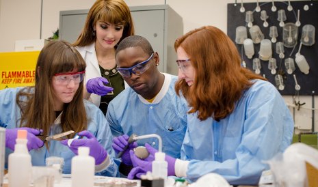 Percentages of women in engineering and minority students hit an all-time high at Michigan Tech this fall.