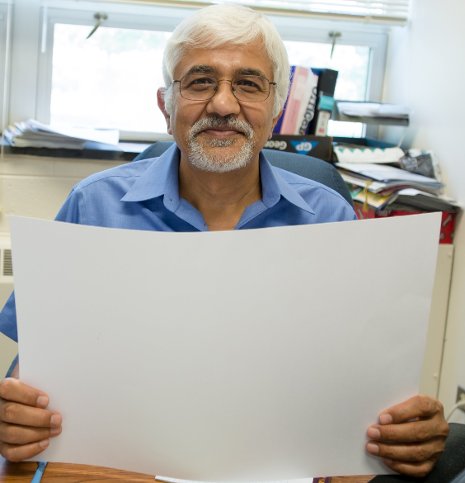 Ravindra  Pandey, chair of physics