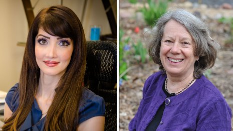Tolou Shokuhfar, assistant professor in mechanical engineering-engineering mechanics and Linda Ott, professor of computer sciences have been named among 100 Women in STEM by Insight Into Diversity Magazine