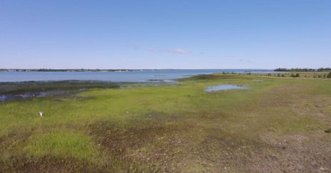 Comprehensively mapped for the first time, Great Lakes wetlands, like this one in Cheboygan, Mich., provide important habitat and resources.