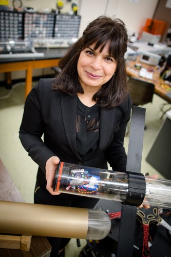 Nina Mahmoudian in the lab.