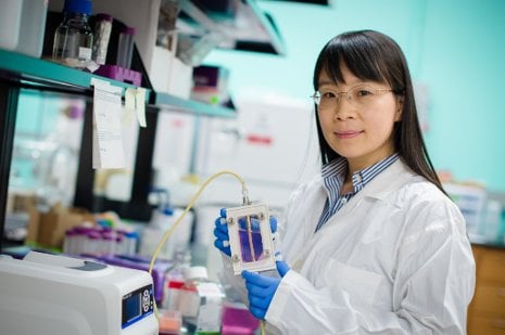 Rising Star Feng Zhao Feng Zhao works on regenerative tissue development; she recently won the Biomedical Engineering Society's Rising Star Award.