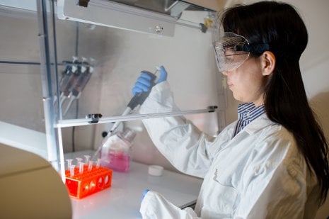 Feng Zhao working in the lab.