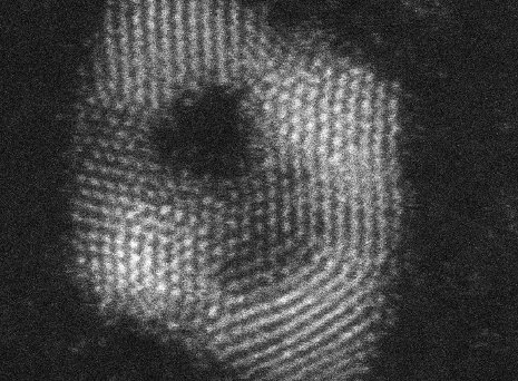 Ruthenium Nanoframe Using a two-part process, chemist Xiaohu Xia and his team found a way to turn ruthenium into a nanoframe, a promising metal catalyst.