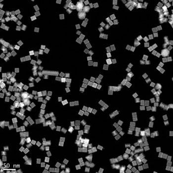 CAREER Xia SEM The nanostructures Xia works with are best seen with a scanning electron microscope (SEM); many of them have distinct forms, which make them helpful for K-12 education.