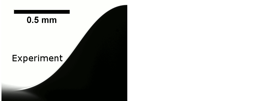 Laboratory image compared to computer simulation.