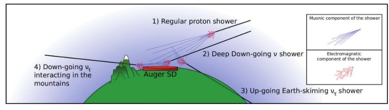 Neutrino shower Neutrino shower