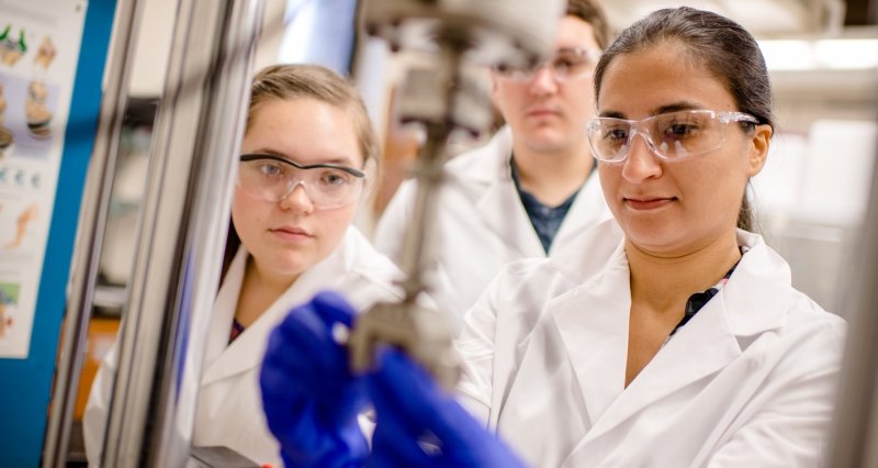 Parisa Pour Shahid Saeed Abadi in her lab with two students.
