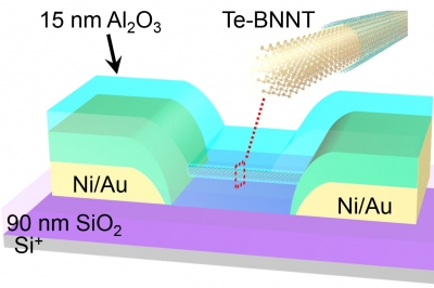 schematic of nanowire