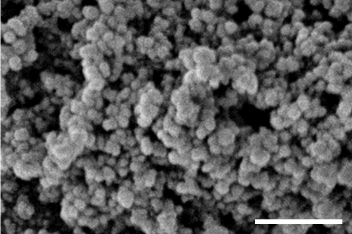 Protein Shapes Matter in Alzheimer's Research Michigan Technological