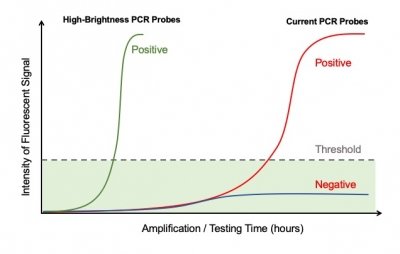 A graphic showing how high-brightness PCR probes are more effective than regular PCR probes.