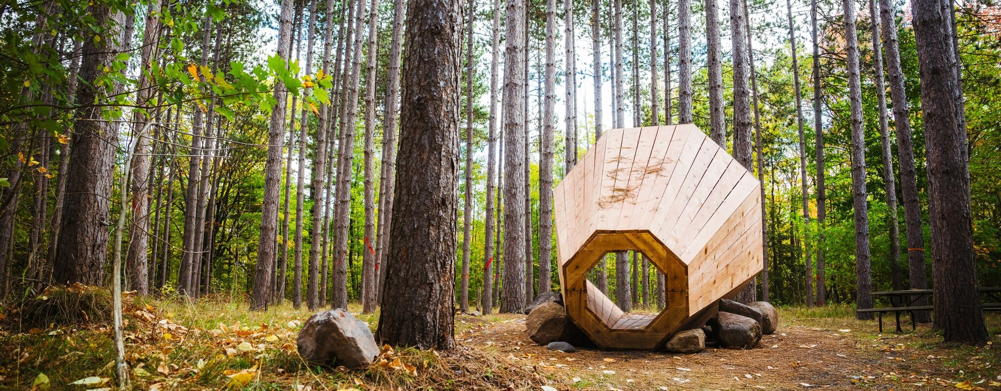 A 10-foot-long conical wooden structure, measuring 18 inches wide at its narrowest point to eight feet at the bell-shaped opening, sits in a pine forest on a cloudy day. The structure is propped up and secured by large rocks.