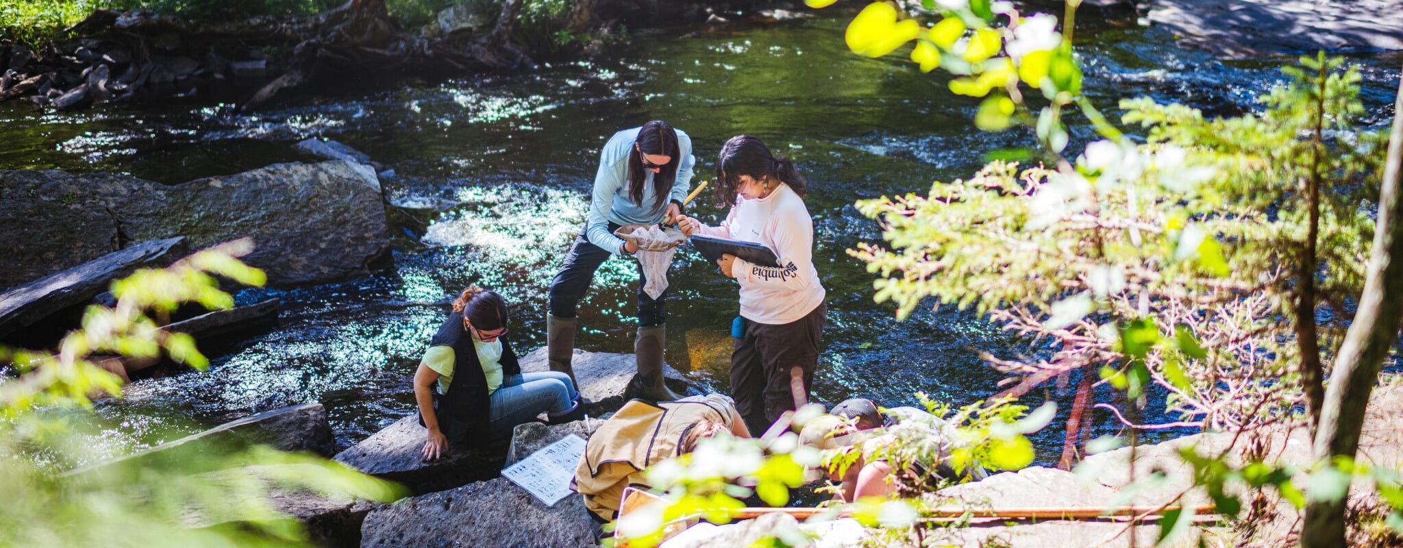 Students doing research during Summer Camp