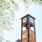 Give Back to the Pack - Huskies are the best at giving back in ways that make an impact now and for generations to come. Show your MTU pride as we unite for a 24-hour giving challenge starting at 12 p.m. ET on Tuesday, April 8.