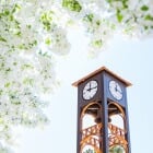 Give Back to the Pack - Huskies are the best at giving back in ways that make an impact now and for generations to come. Show your MTU pride as we unite for a 24-hour giving challenge starting at 12 p.m. ET on Tuesday, April 8.