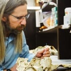Award-Winning Research - Our 2025 Michigan Tech Research Award winner, John Vucetich, has been recognized for an impactful body of work that stretches from Isle Royale to Africa's lion country. Read more about his work in our story on Michigan Tech News.
