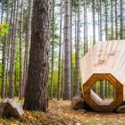 Nature and Community Amplified - A cornucopia of forest sounds awaits on the Michigan Tech Trails. Immerse yourself in all that inspired this exercise in art, ecology and community—read the full story on our Unscripted Research Blog.